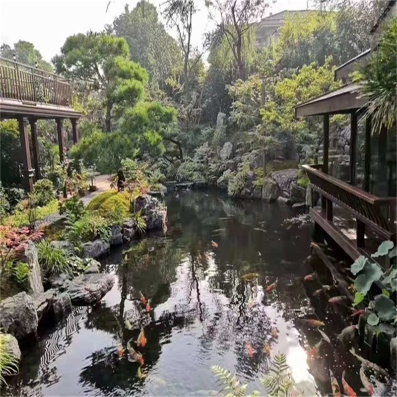 夏津假山植物小鱼池
